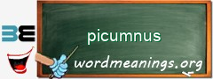 WordMeaning blackboard for picumnus